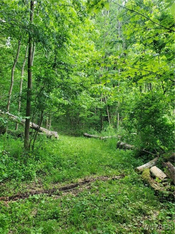 7200 Kent Rd, Mansfield, NY 14731 - photo 24