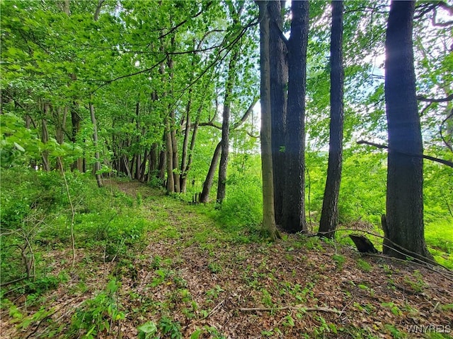 7200 Kent Rd, Mansfield, NY 14731 - photo 25