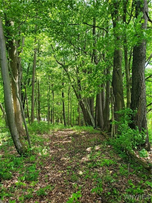 7200 Kent Rd, Mansfield, NY 14731 - photo 26