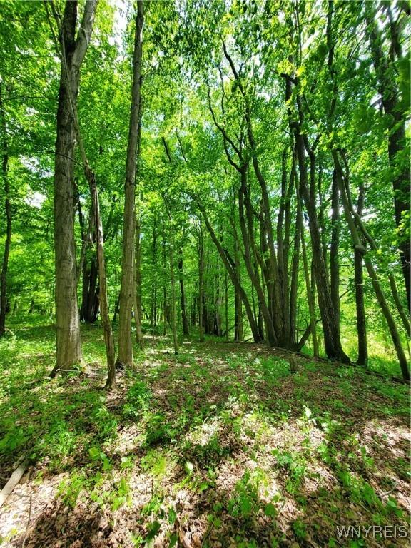 7200 Kent Rd, Mansfield, NY 14731 - photo 27