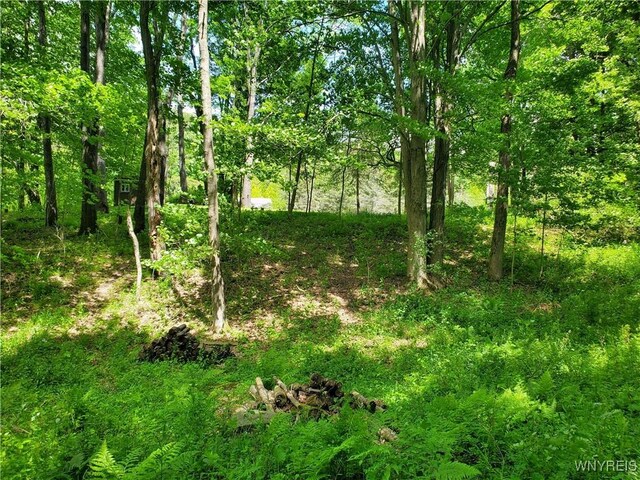 7200 Kent Rd, Mansfield, NY 14731 - photo 28