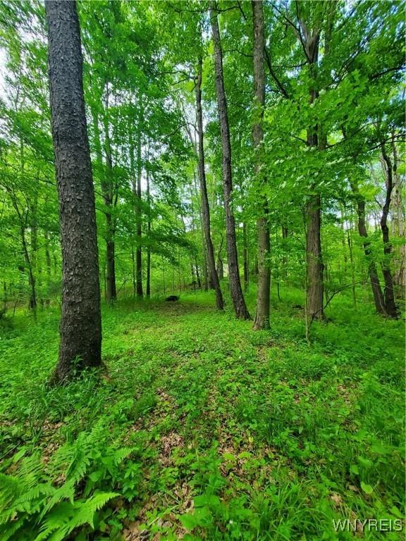 7200 Kent Rd, Mansfield, NY 14731 - photo 29