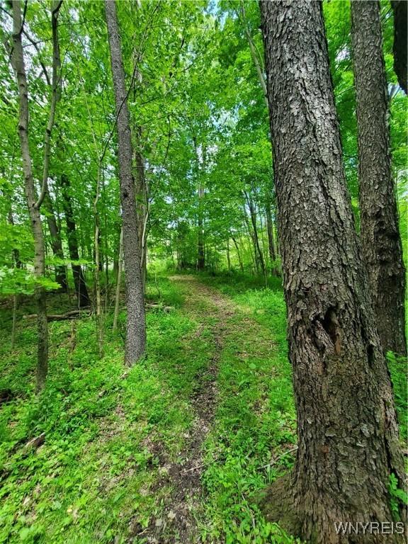 7200 Kent Rd, Mansfield, NY 14731 - photo 30