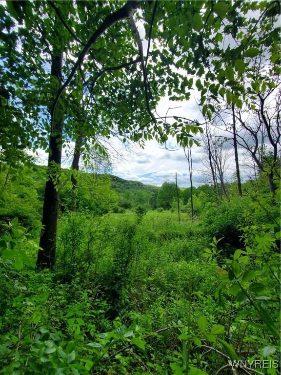 7200 Kent Rd, Mansfield, NY 14731 - photo 31