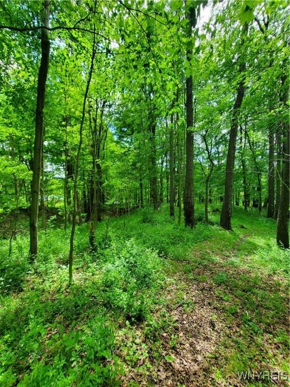 7200 Kent Rd, Mansfield, NY 14731 - photo 32
