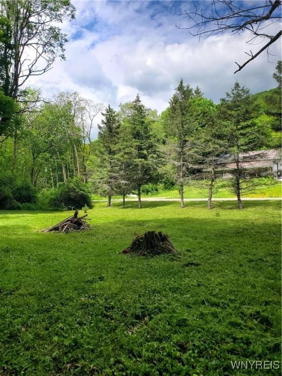 7200 Kent Rd, Mansfield, NY 14731 - photo 33