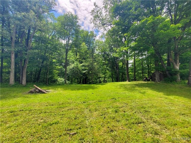 7200 Kent Rd, Mansfield, NY 14731 - photo 34
