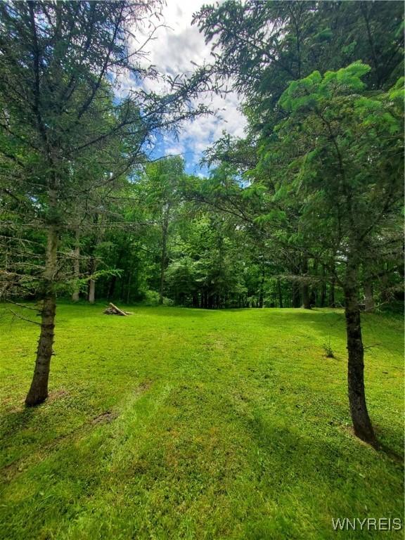 7200 Kent Rd, Mansfield, NY 14731 - photo 35