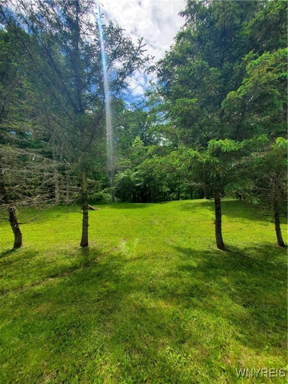 7200 Kent Rd, Mansfield, NY 14731 - photo 36