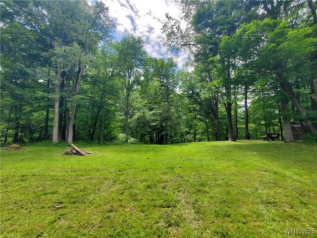 7200 Kent Rd, Mansfield, NY 14731 - photo 37
