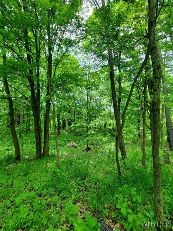 7200 Kent Rd, Mansfield, NY 14731 - photo 38