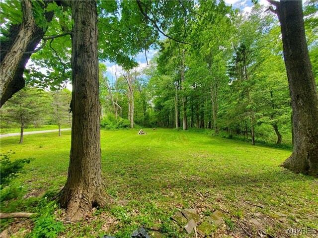 7200 Kent Rd, Mansfield, NY 14731 - photo 39