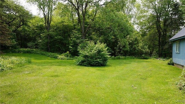 459 County Route 47, Redfield, NY 13437 - photo 25