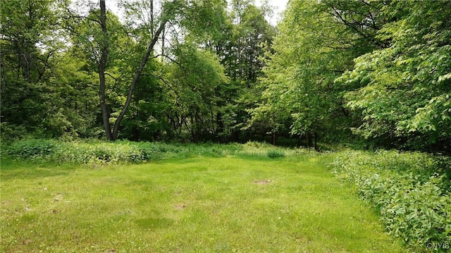 459 County Route 47, Redfield, NY 13437 - photo 26