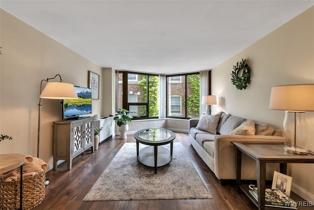 849 Delaware Ave Unit 205, Buffalo, NY 14209 - living room with dark wood finished floors