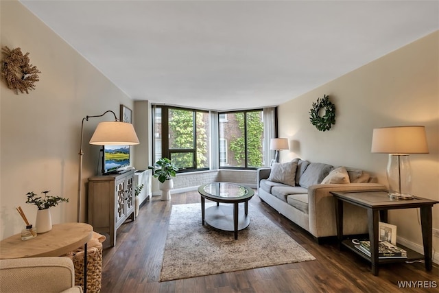 849 Delaware Ave Unit 205, Buffalo, NY 14209 - living room with dark wood finished floors