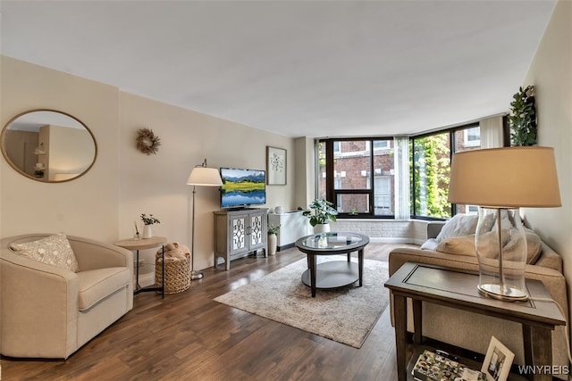 849 Delaware Ave Unit 205, Buffalo, NY 14209 - living room with dark wood-style floors