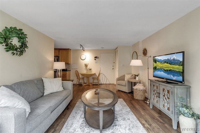 849 Delaware Ave Unit 205, Buffalo, NY 14209 - living room featuring wood finished floors