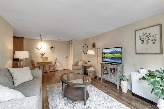 849 Delaware Ave Unit 205, Buffalo, NY 14209 - living room with wood finished floors