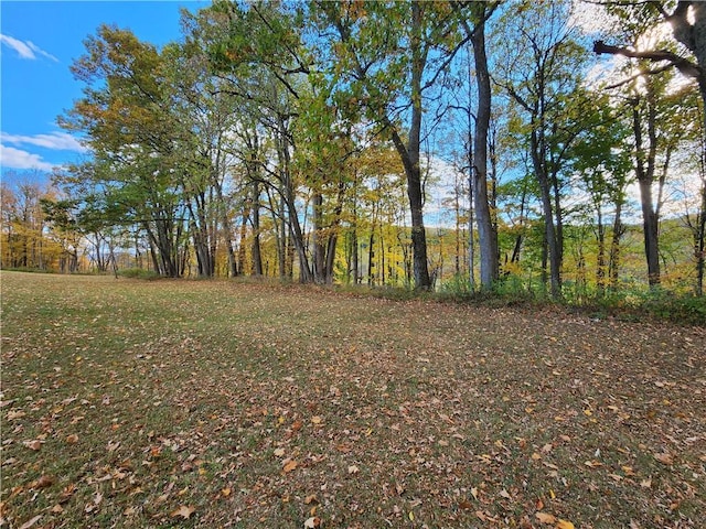 655 County Highway 26, Otsego, NY 13337 - view of yard
