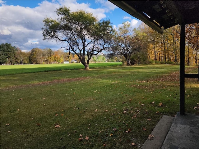 655 County Highway 26, Otsego, NY 13337 - view of green lawn