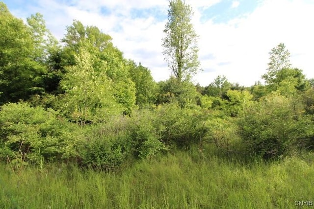 0000 State Route 49, Schroeppel, NY 13135