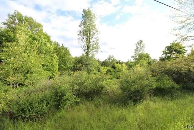 0000 State Route 49, Schroeppel, NY 13135