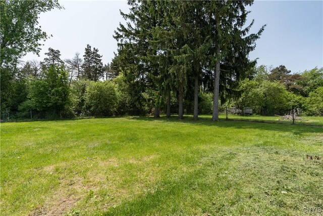 621 N Hycliff Dr, Watertown-City, NY 13601 - view of green lawn
