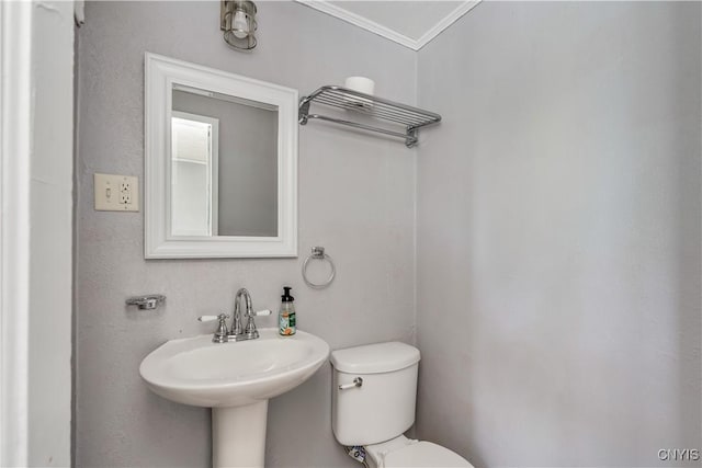 621 N Hycliff Dr, Watertown-City, NY 13601 - half bathroom with ornamental molding and toilet