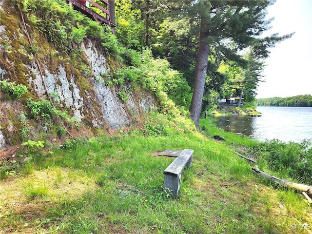 41202 Red Lake S, Theresa, NY 13691 - photo 3