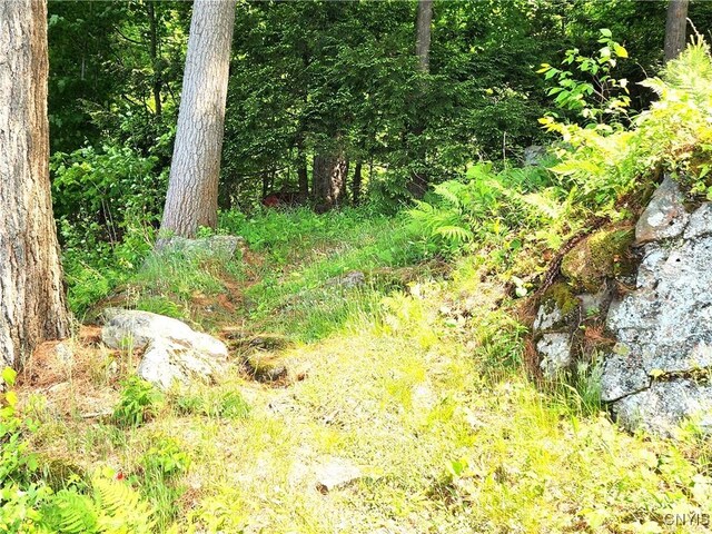 41202 Red Lake S, Theresa, NY 13691 - photo 5