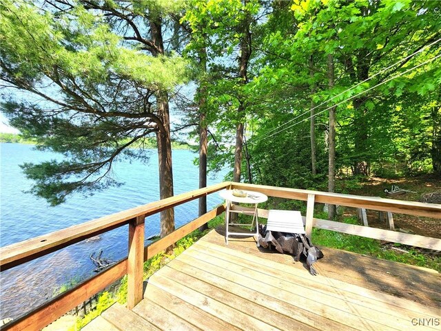 41202 Red Lake S, Theresa, NY 13691 - photo 9