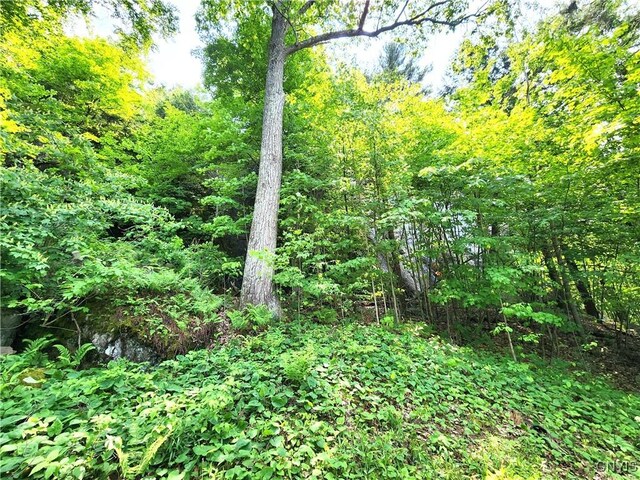 41202 Red Lake S, Theresa, NY 13691 - photo 31