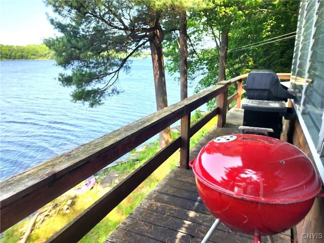 41202 Red Lake S, Theresa, NY 13691 - photo 41