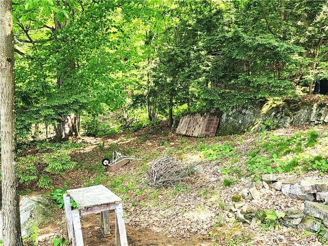 41202 Red Lake S, Theresa, NY 13691 - photo 43