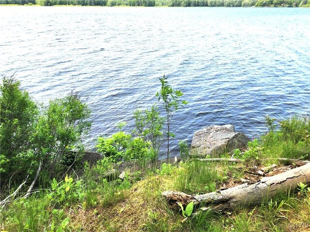 41202 Red Lake S, Theresa, NY 13691 - photo 46