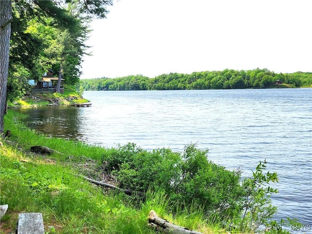 41202 Red Lake S, Theresa, NY 13691 - photo 48