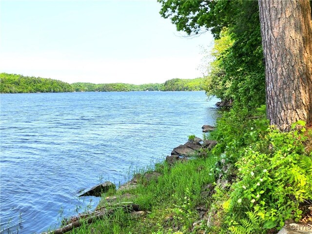 41202 Red Lake S, Theresa, NY 13691 - photo 49