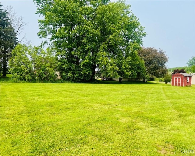 464 Foster Moore Rd, Homer, NY 13045 - photo 27