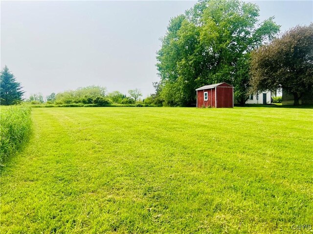 464 Foster Moore Rd, Homer, NY 13045 - photo 28