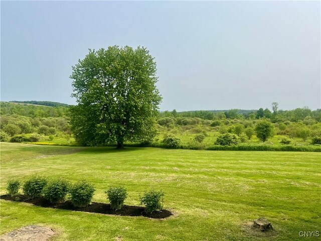 464 Foster Moore Rd, Homer, NY 13045 - photo 30