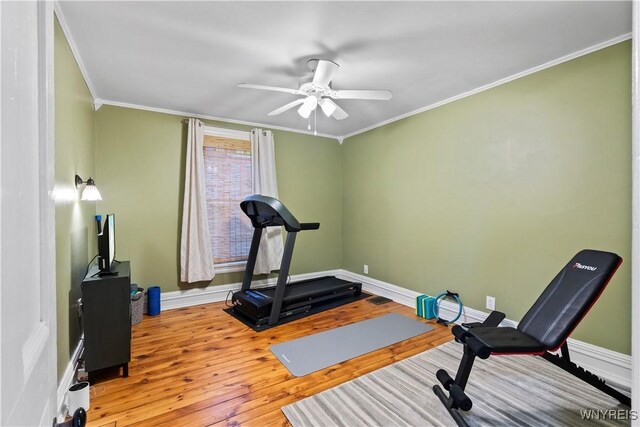 28 Orton Pl, Buffalo, NY 14201 - photo 40