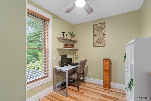 28 Orton Pl, Buffalo, NY 14201 - photo 41