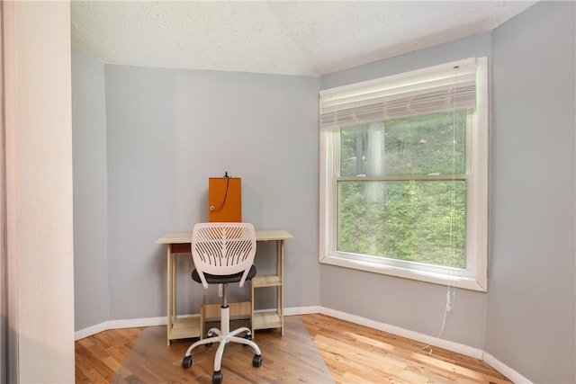 25 Highland Dr, Corning-City, NY 14830 - home office featuring plenty of natural light, wood finished floors, a textured ceiling, and baseboards