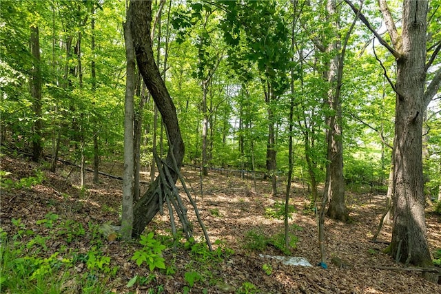 25 Highland Dr, Corning-City, NY 14830 - view of woods
