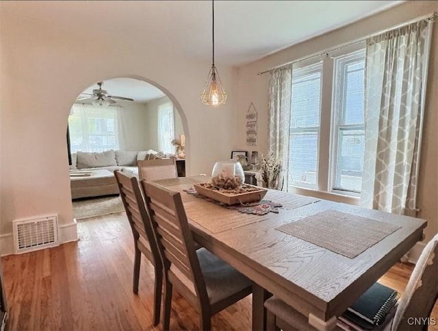 22 Hyatt St, Cortland, NY 13045 - photo 15