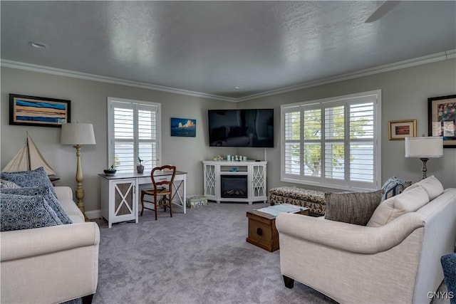 32160 State Route 12e, Cape Vincent, NY 13618 - carpeted living room featuring plenty of natural light, crown molding, baseboards, and a fireplace