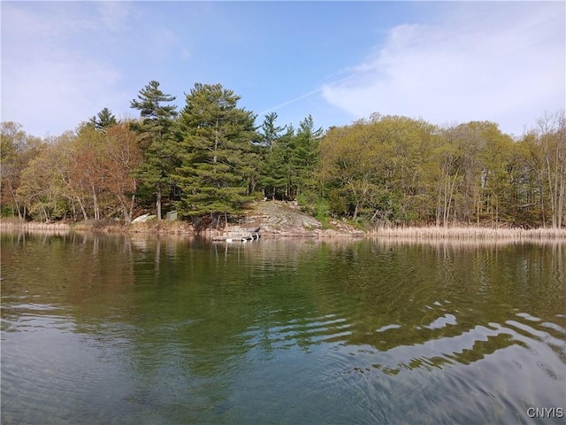 43206 Murray, Clayton, NY 13624 - photo 10
