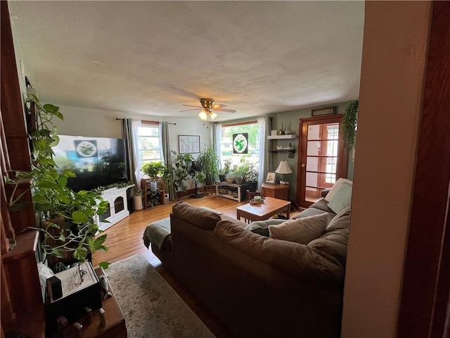 1214 S Main, Southport, NY 14904 - living area featuring wood finished floors and ceiling fan