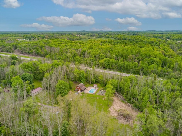 7698 Ridge Rd, Sodus, NY 14551 - aerial view of property and surrounding area featuring a forest